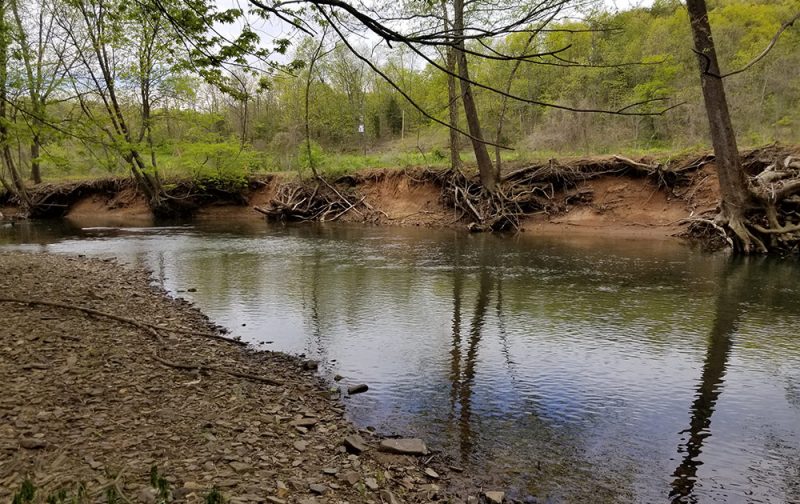 Sleepy Creek Stream Restoration Greenway Engineering